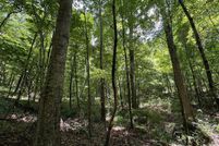 Land for sale in Holmes County, Mississippi