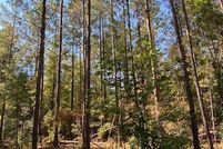 Undeveloped Land for sale in Mobile County, Alabama