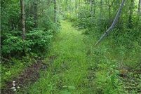 Undeveloped Land for sale in Itasca County, Minnesota