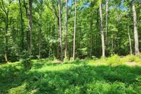Land for sale in Dawson County, Georgia