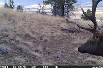 Land for sale in Grant County, Oregon