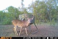 Recreational Property for sale in Fisher County, Texas