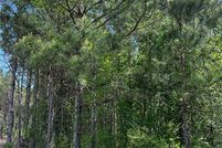 Timberland Property for sale in Cumberland County, North Carolina