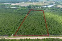 Farm and Ranch for sale in Bacon County, Georgia