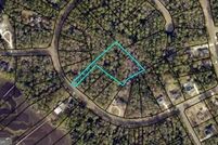 Land for sale in Camden County, Georgia