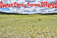 Undeveloped Land for sale in Park County, Colorado
