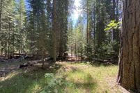 Land for sale in Siskiyou County, California