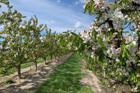 Recreational Property for sale in Benton County, Washington