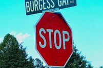 Land for sale in Fannin County, Georgia