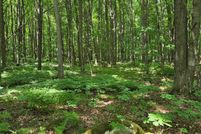 Land for sale in Florence County, Wisconsin