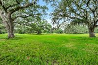 Undeveloped Land for sale in Brazoria County, Texas