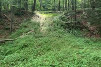 Undeveloped Land for sale in Susquehanna County, Pennsylvania
