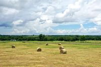 Undeveloped Land for sale in Washington County, Texas