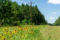 Undeveloped Land for sale in Sabine Parish, Louisiana