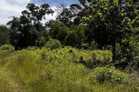 Farm and Ranch for sale in San Jacinto County, Texas