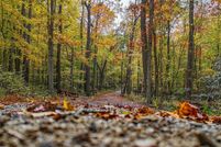 Land for sale in Monongalia County, West Virginia