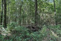Undeveloped Land for sale in Cherokee County, Texas