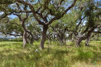 Farm and Ranch for sale in Blanco County, Texas