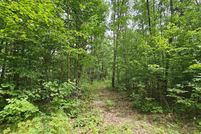 Undeveloped Land for sale in Osceola County, Michigan