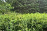 Timberland Property for sale in Hancock County, Maine