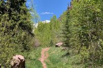 Undeveloped Land for sale in Pitkin County, Colorado