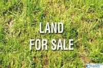 Undeveloped Land for sale in DeKalb County, Alabama