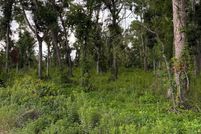 Land for sale in Suwannee County, Florida