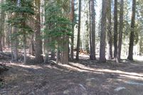 Recreational Property for sale in Calaveras County, California