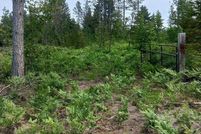 Land for sale in Luce County, Michigan