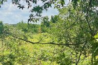 Undeveloped Land for sale in Fannin County, Texas