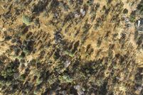 Land for sale in Madera County, California