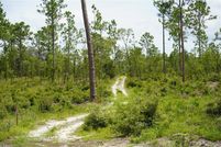 Land for sale in Levy County, Florida