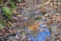 Recreational Property for sale in Botetourt County, Virginia
