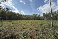Land for sale in Southeast Fairbanks Borough, Alaska