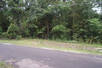 Undeveloped Land for sale in Van Zandt County, Texas