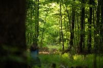 Undeveloped Land for sale in Taliaferro County, Georgia
