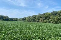 Undeveloped Land for sale in Fayette County, Illinois