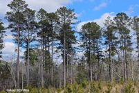 Land for sale in Union County, Arkansas