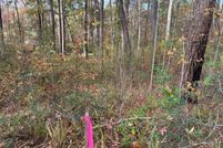 Land for sale in Sabine Parish, Louisiana