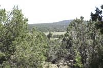 Land for sale in Coconino County, Arizona