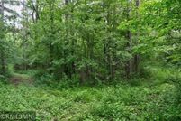 Timberland Property for sale in Polk County, Wisconsin