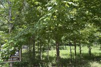 Land for sale in Saline County, Arkansas