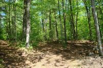 Undeveloped Land for sale in Price County, Wisconsin