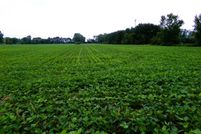 Land for sale in Saginaw County, Michigan