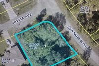 Undeveloped Land in Lee County, Florida