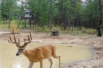 Recreational Property for sale in Sanders County, Montana
