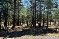 Homesite for sale in Coconino County, Arizona
