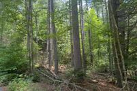 Land for sale in Towns County, Georgia