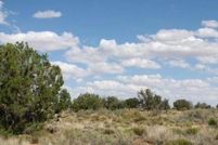 Undeveloped Land for sale in Navajo County, Arizona