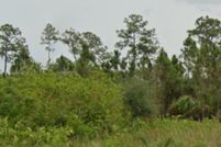 Land for sale in Lee County, Florida